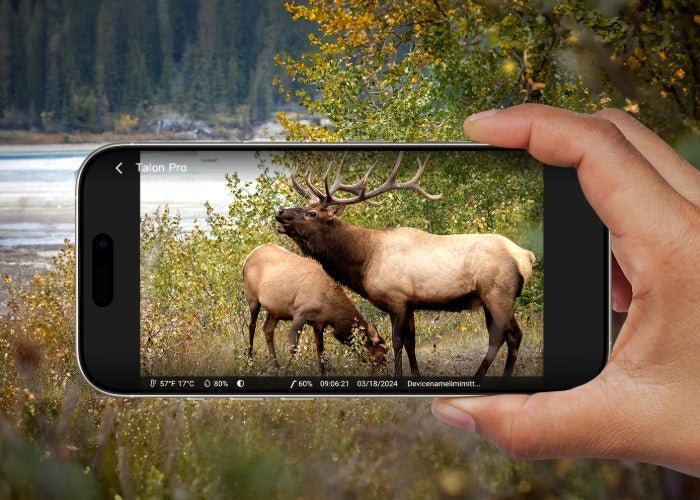 Reolink Camvoue Talon Pro 4K - 4G LTE Wildkamera Version inkl. Akku Pack - Calitronshop.com