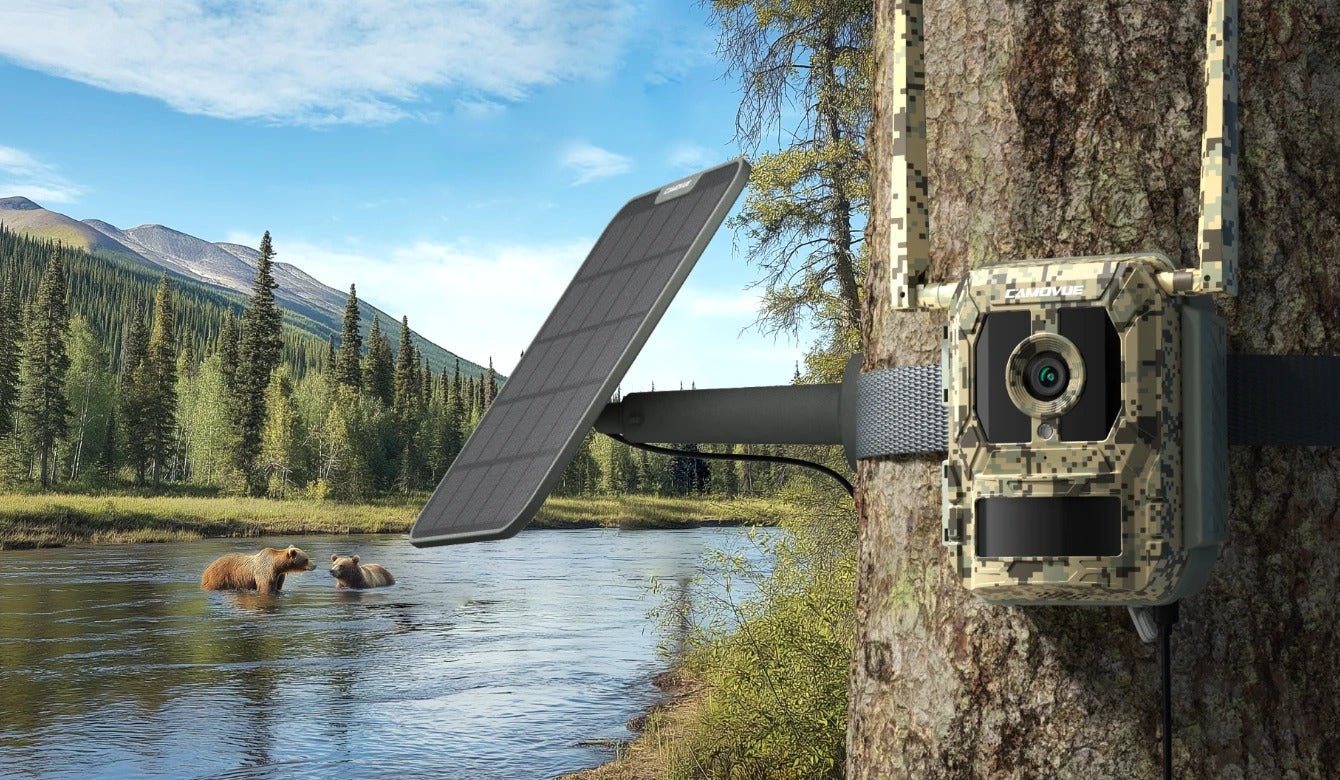 Reolink Camvoue Talon Pro 4K - 4G LTE Wildkamera Version inkl. Akku Pack - Calitronshop.com