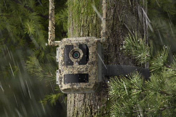 Reolink Camvoue Talon Pro 4K - 4G LTE Wildkamera Version inkl. Akku Pack - Calitronshop.com