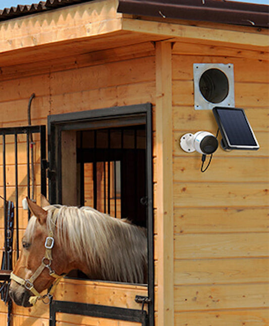 Überwachungskamera im Einsatz am Beispiel Pferdestall - Calitronshop.com