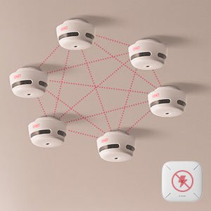 Vernetzung - XSENSE - Calitronshop.com