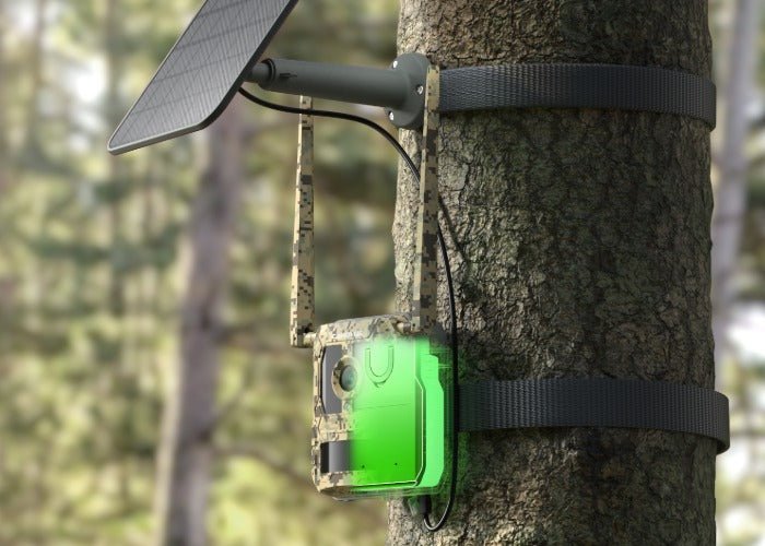 Reolink Camvoue Talon Pro 4K - 4G LTE Wildkamera Version inkl. Akku Pack - Calitronshop.com