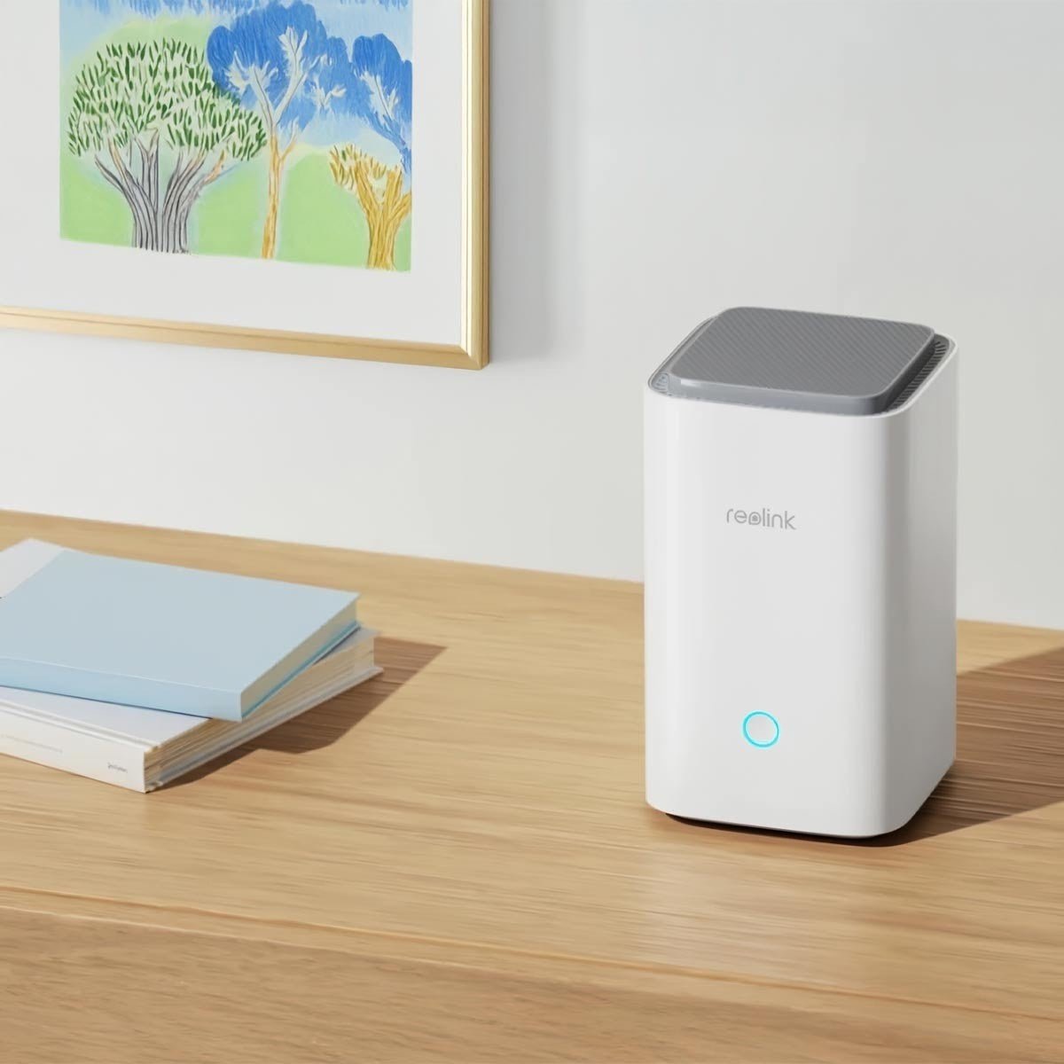 Reolink Set Bundle 2x B350 Kamera, 1x Home Hub1 & 2x Solarpanel - Calitronshop.com