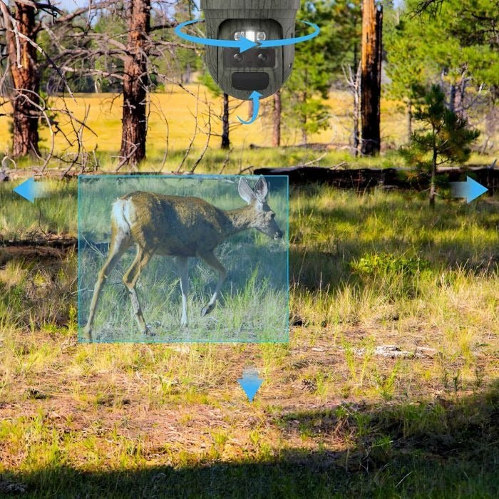 Reolink Trackmix Series G770 mit Solarpanel 2, 4K - 4G LTE kabellose PTZ - Überwachungskamera - Calitronshop.com