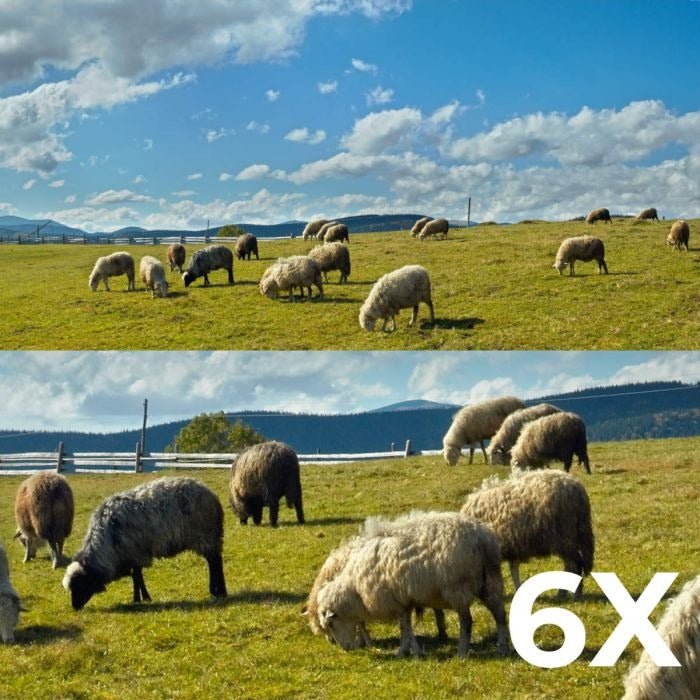 Reolink Trackmix Series G770 mit Solarpanel 2, 4K - 4G LTE kabellose PTZ - Überwachungskamera - Calitronshop.com